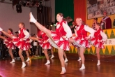 musikantenball2011_006