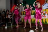 musikantenball2011_057