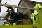 umzug2011_0100